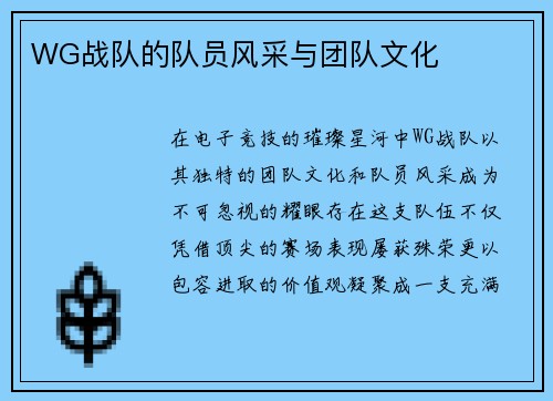 WG战队的队员风采与团队文化